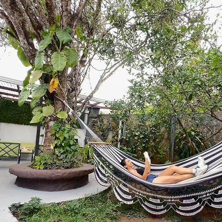 Montefresco Boutique Hostel Monteverde Dış mekan fotoğraf